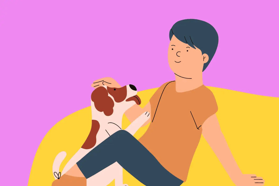 The Truth About CBD for Dogs