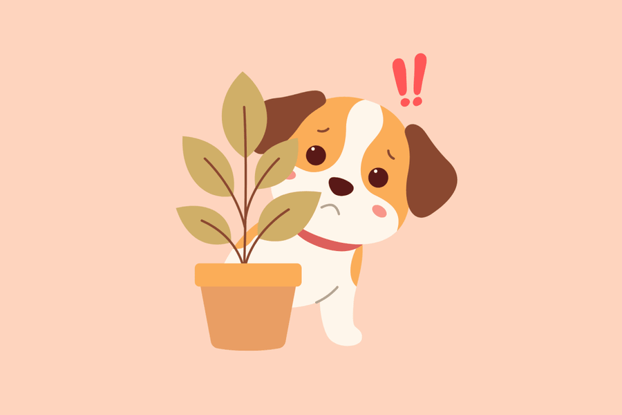 8 Common Houseplants That Are Toxic to Dogs