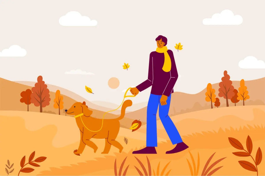 How to Keep Your Dog Safe & Cozy on Fall Walks