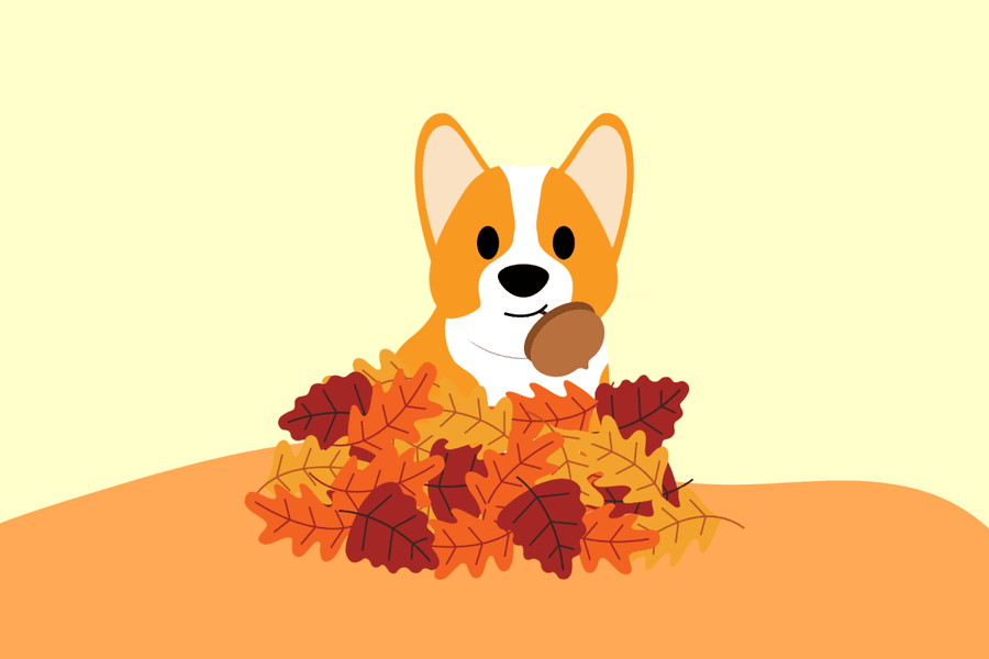 Autumn Hazards Every Dog Owner Should Know