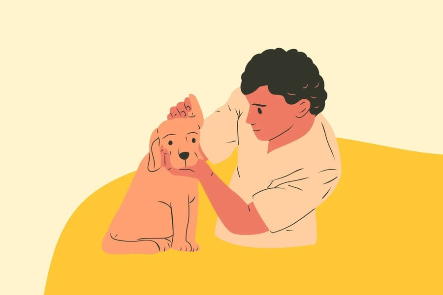 5 Things Your Dog's Body Is Telling You