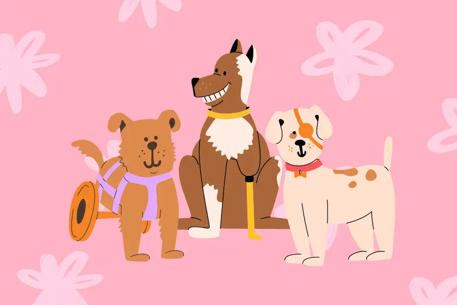 National Specially-Abled Pets Day