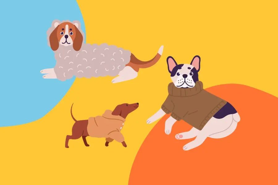 Do Dogs Feel Cold?