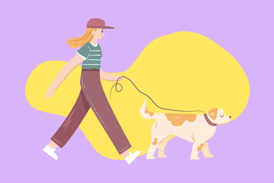 Walking Times By Breeds 2024