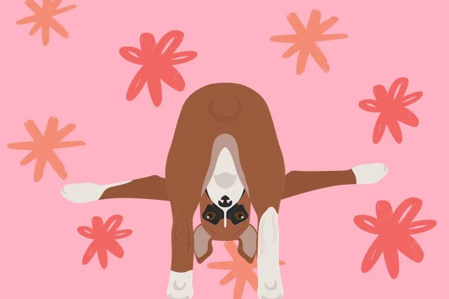 sniffandbark blogs