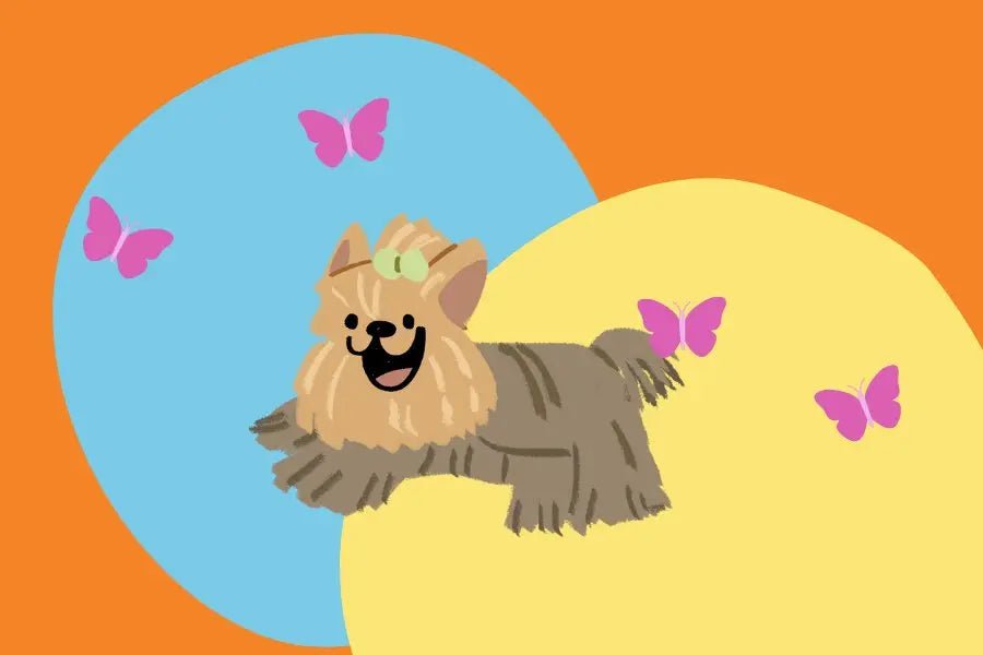 Tiny Trends: 5 Fashion Tips for your Yorkie