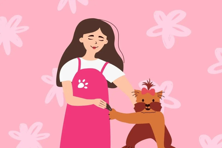 How To Trim Dog Nails Without the Drama