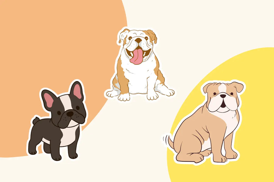 5 Fun Facts about Bull Dogs