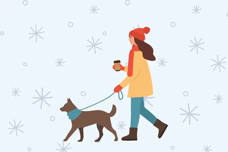 Understanding Cold Tolerance in Different Dog Breeds