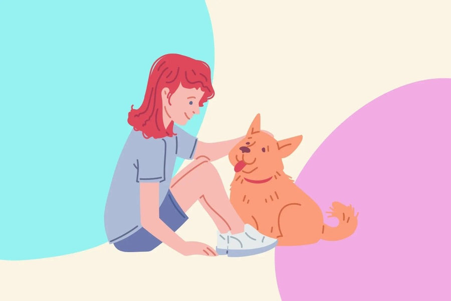 Does Your Dog Have a Favorite Person? Here’s Why They Might Choose You