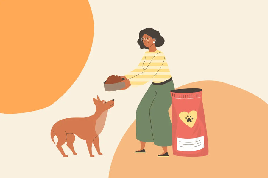 How to Adjust Your Dog’s Diet as the Weather Cools Down