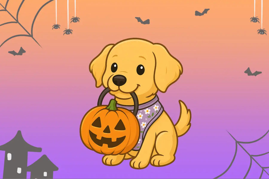 Halloween Safety Tips For Pups