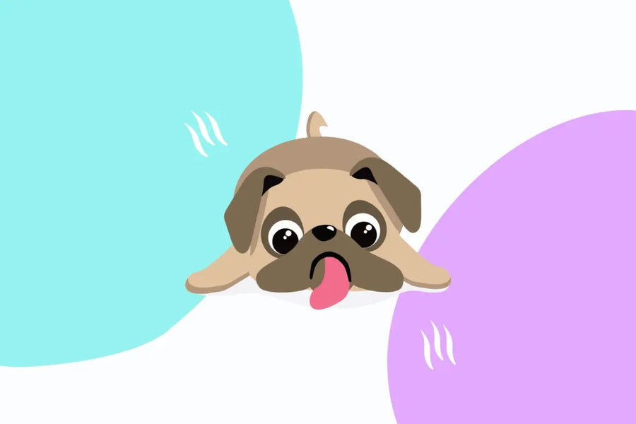 How Hot Is Too Hot for Your Dog? Signs Your Pup Is Overheating—and What to Do About It