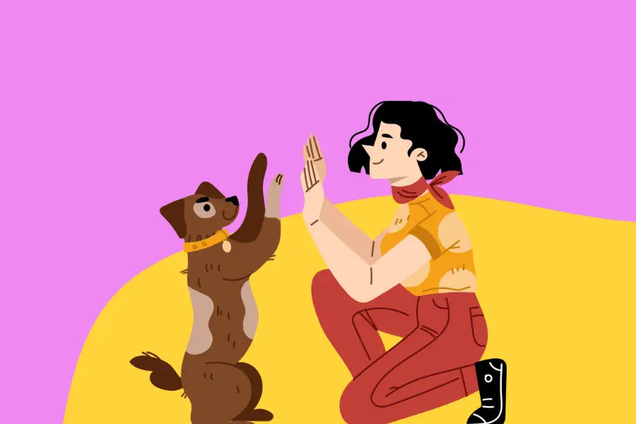Is Your Dog Getting Enough Mental Stimulation?