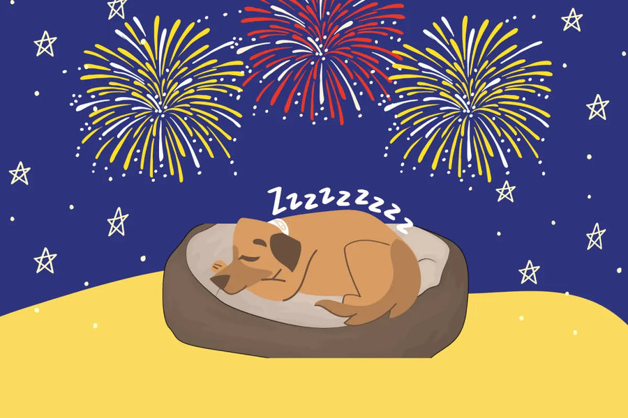 Safe New Year’s Eve for Dogs: Fireworks, Food, and Calm Tips