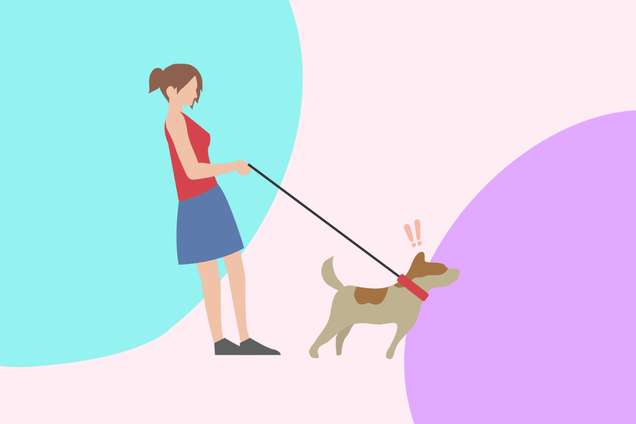 Signs Your Dog Is Secretly Overstimulated on Walks