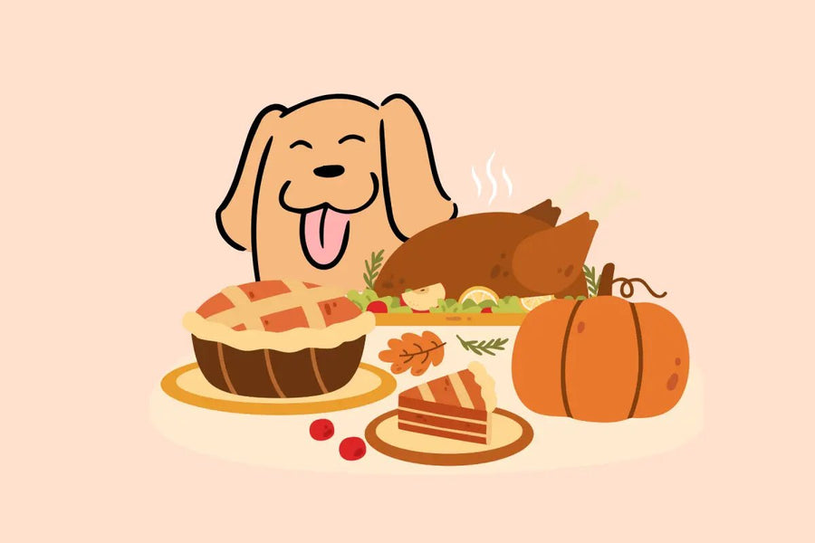 Thanksgiving Foods Your Dog Can (and Can’t) Eat