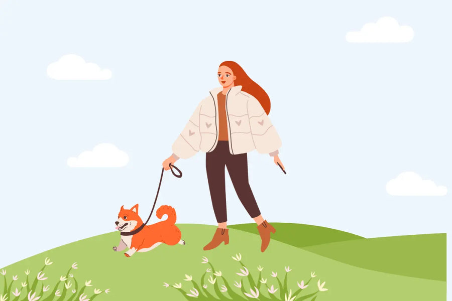 The Power of Daily Walks: A Mood Booster for You and Your Pup