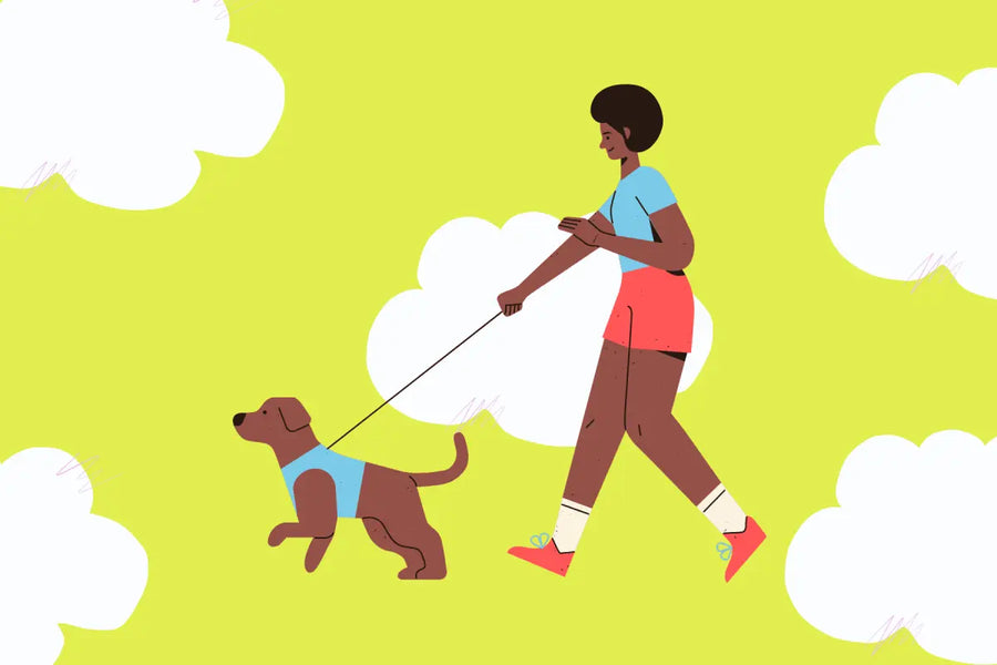 The Truth About Dog Harness Fit: Avoid These 5 Common Mistakes