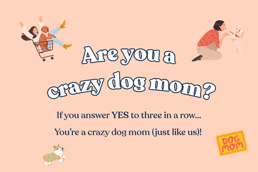 Are You Considered a Crazy Dog Mom?