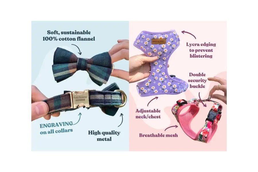 Dog Harnesses VS. Dog Collars - Sniff & Bark 