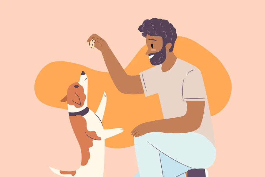 5 Common Dog Training Myths—Busted!