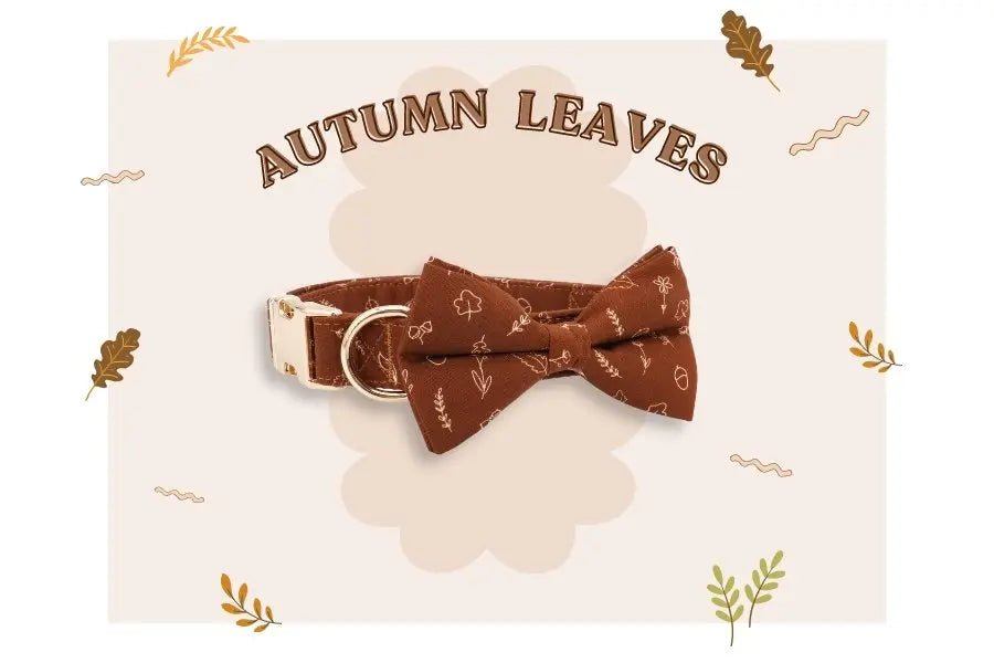 Essential Dog Collars for Fall - Sniff & Bark 