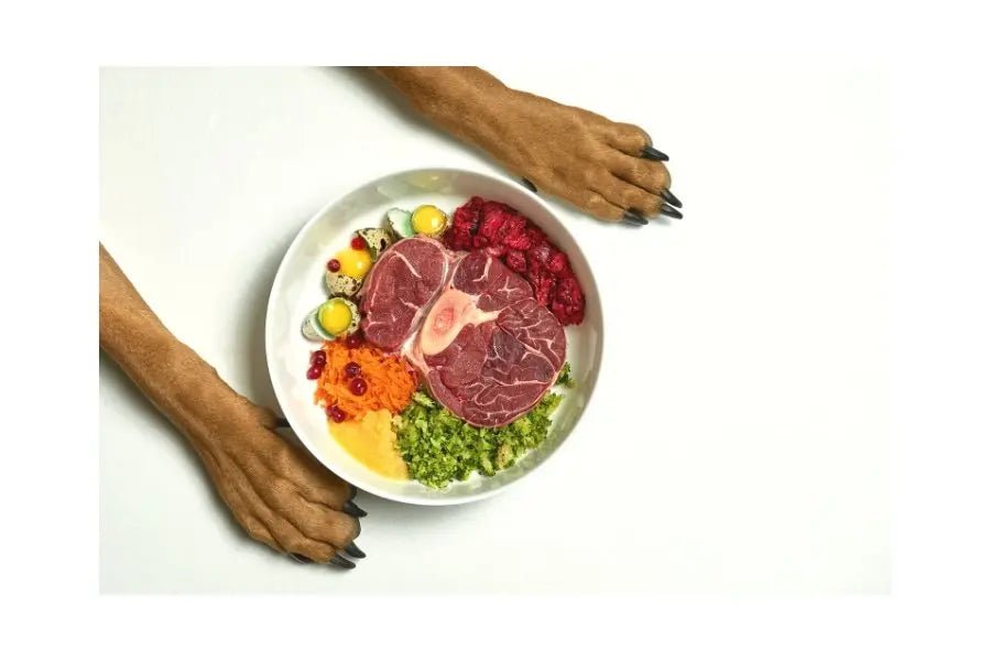 Raw Diet for Dogs: Is It Worth the Hype? - Sniff & Bark 