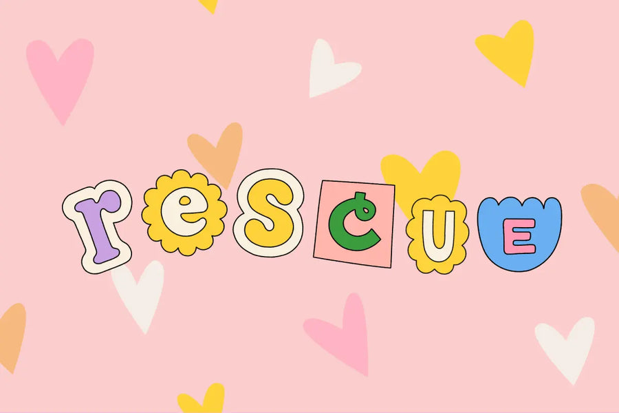 4 Common Myths About Rescue Dogs—Debunked!