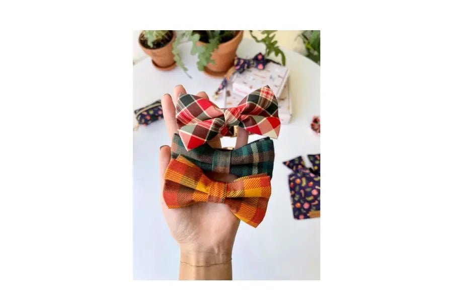 Sniff & Bark Accessories To Fall in Love With This Holiday Season - Sniff & Bark