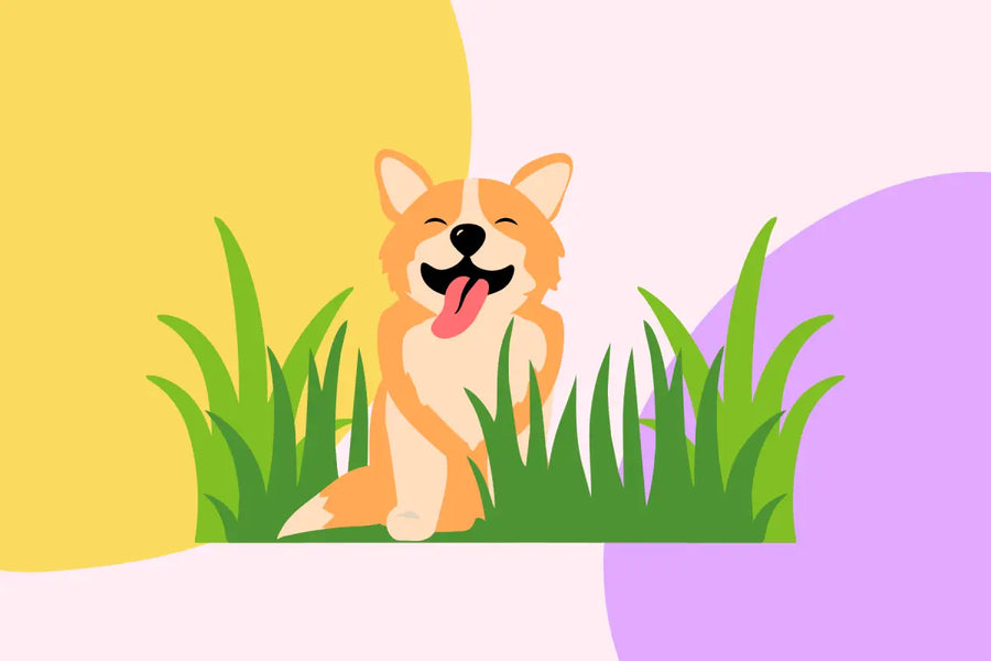 Why Does Your Dog Eat Grass? The Science Behind This Common Behavior
