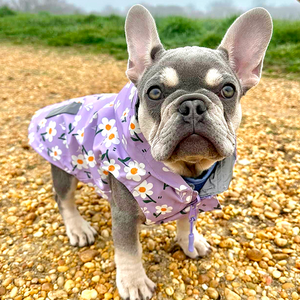 Purple Daisy Reversible Cozy Fleece Vest™