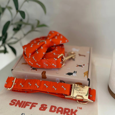 Coral Fetch Signature Band™ + Slide-On Dappertie™ + Joyline™