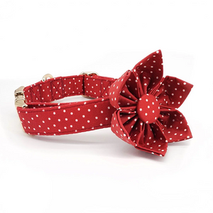 Red Polka Dot Signature Band™ + Slide-On Bloomtie™