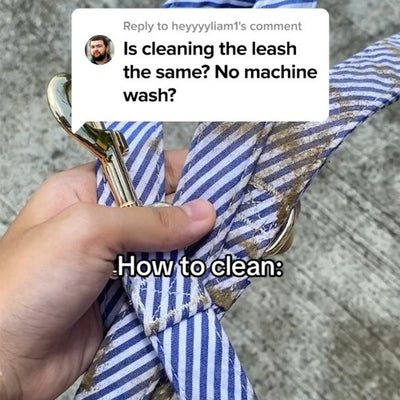 Leash