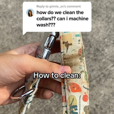 Collar
