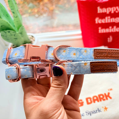 Sky Daisy Signature Band™ - Crafted Collar