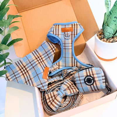 Blue Teddy Plaid Dappertie™ - Mega Bundle Match (D Ring)
