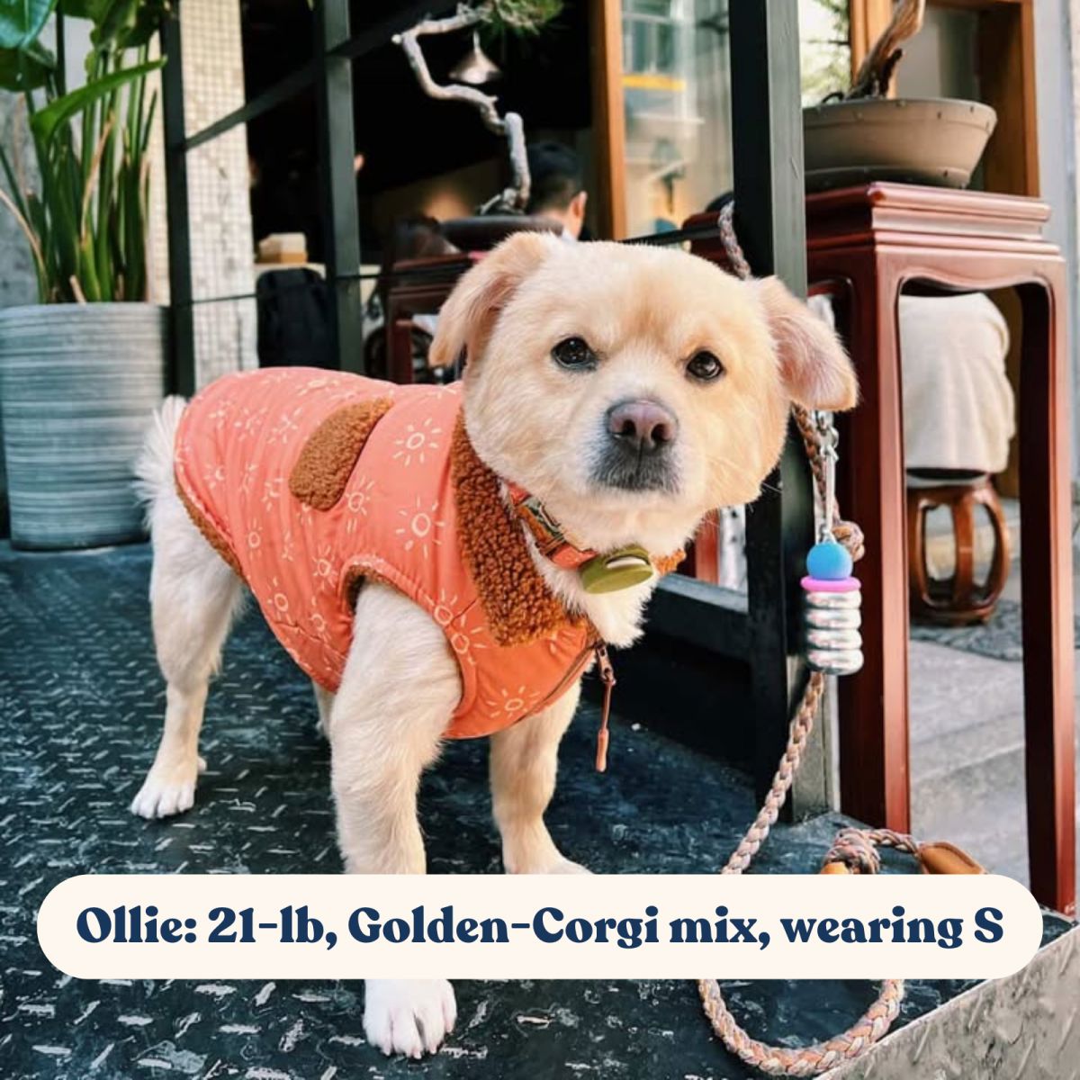Water Resistant Dog Winter Coat. Canine Winterwear Vest Jacket