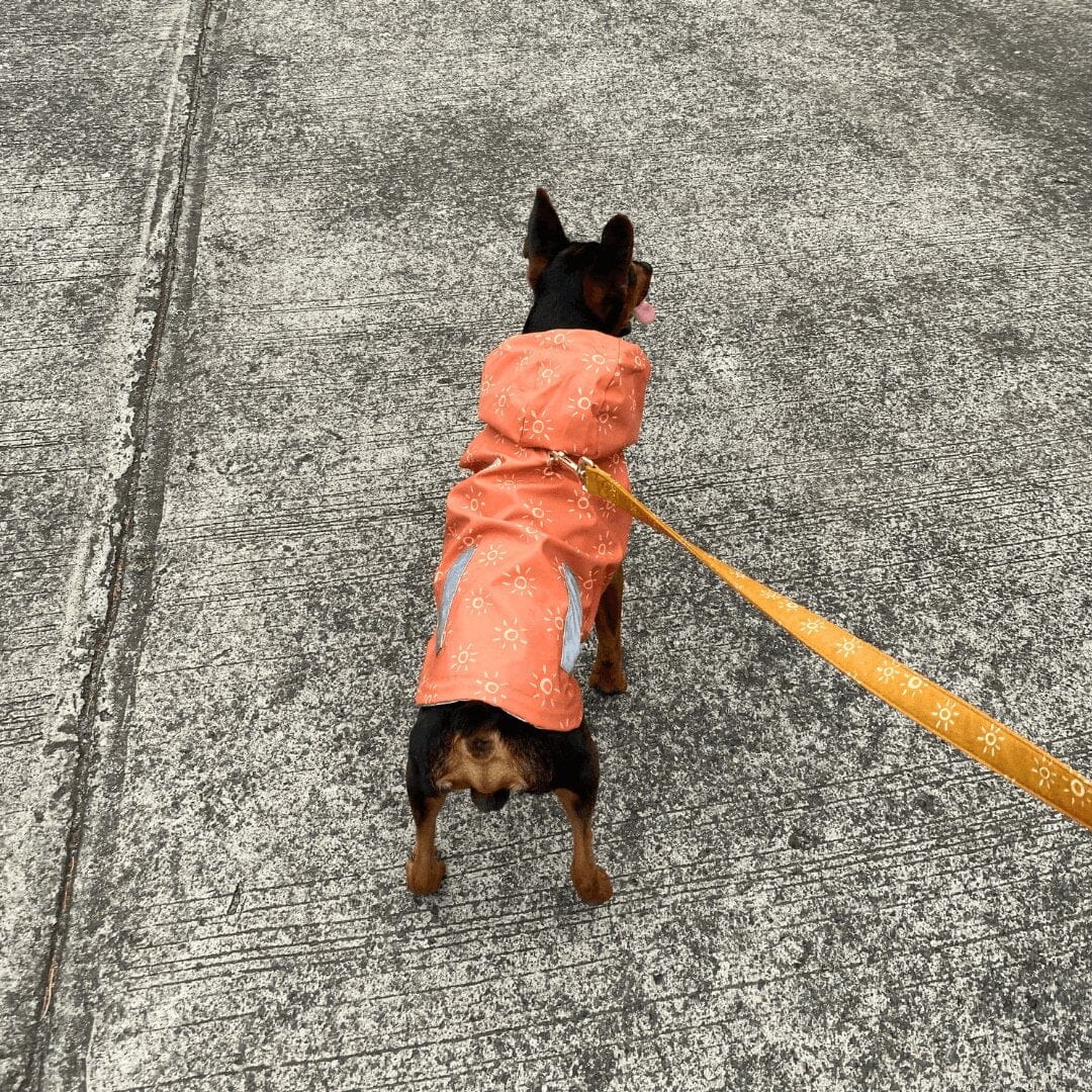 canine rain gear 100% Waterproof Dog Raincoat. Best Canine Rain Gear & Slicker Jacket Rainwear Clothes, 360° Reflective Shell – Sniff & Bark