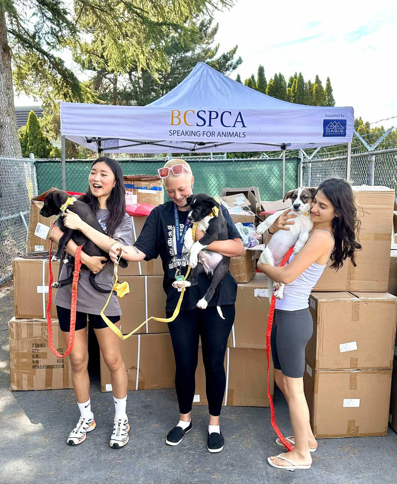 Every order helps rescue pups