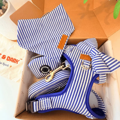 Blue Stripes Dappertie™ - Mega Bundle Match (D Ring)