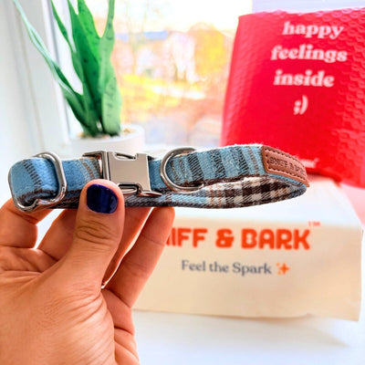 Blue Teddy Plaid Signature Band™ - Crafted Collar