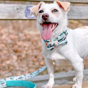 Mint Snappy Dino Signature Band™ + Slide-On Dappertie™ + Joyline™