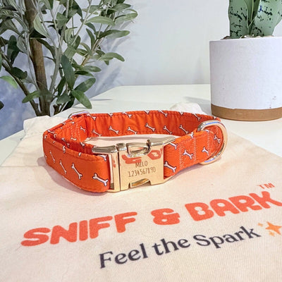 Coral Fetch Signature Band™ - Crafted Collar