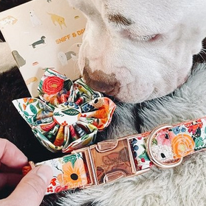 Morning Floral Signature Band™ - Crafted Collar