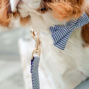 Blue Stripes Joyline™ Leash – 100 % Cotton Shell