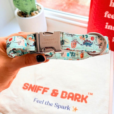 Mint Snappy Dino Signature Band™ - Crafted Collar