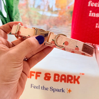 Peach Blush Signature Band™ - Crafted Collar