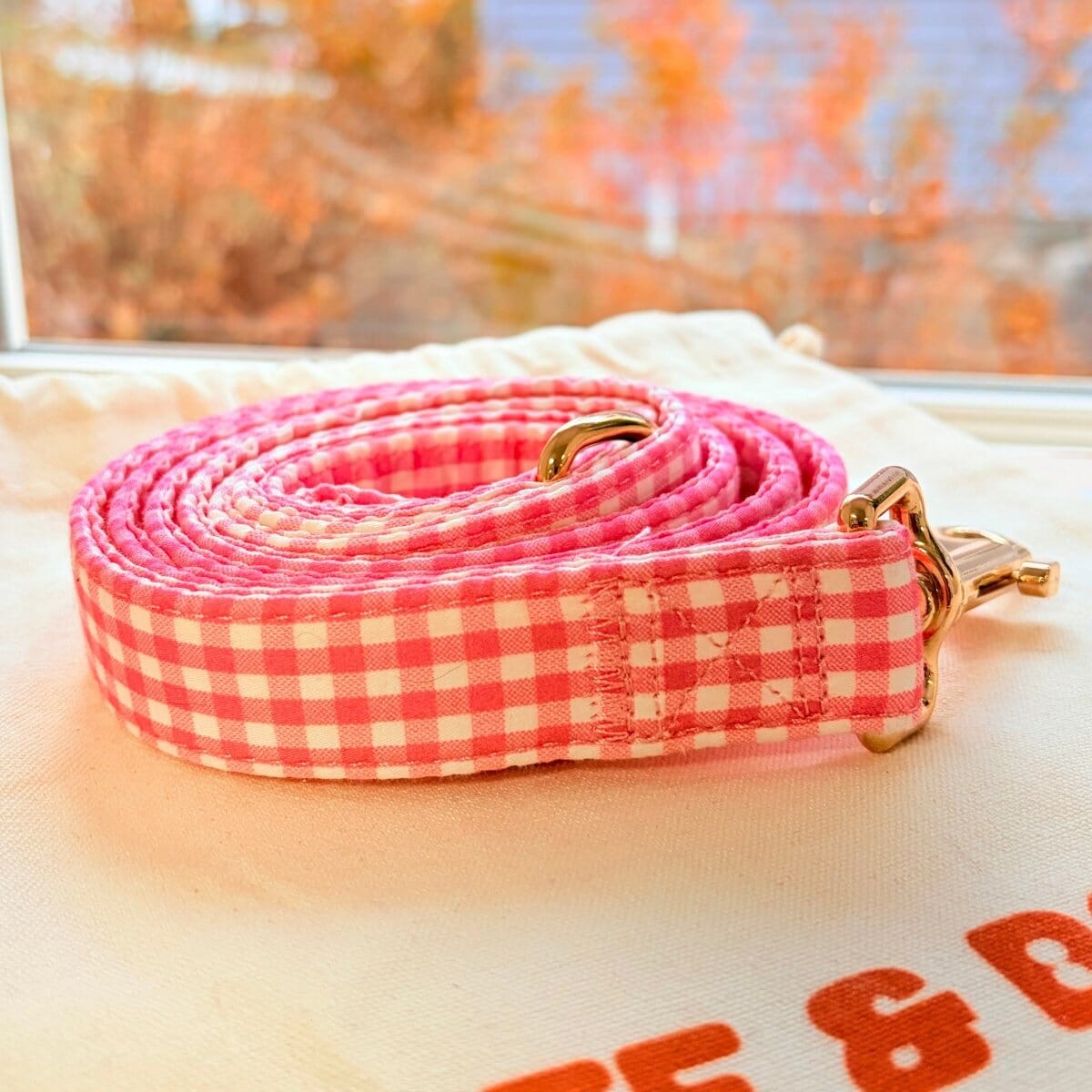 Cute & Safe Heavy Duty Dog Leash with Secure Hook. Adorable Designs ...